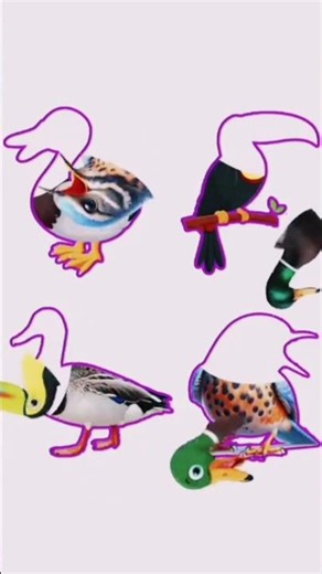 Match the all birds in the shadow correctly 😎 photo challenge