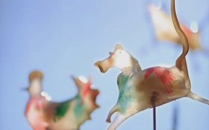 Microsoft Video Screensaver 微软视频屏幕保护程序 附带视频