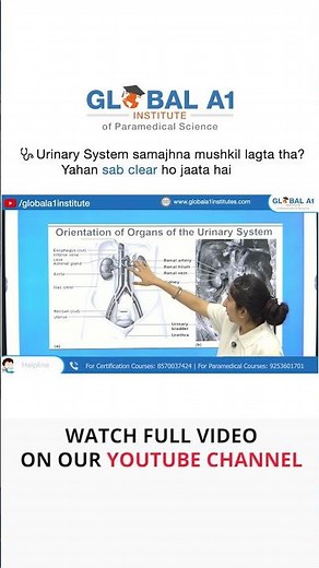 Urinary System Explained Simply | Best Anatomy Lecture for Students #urinarysystem #anatomy