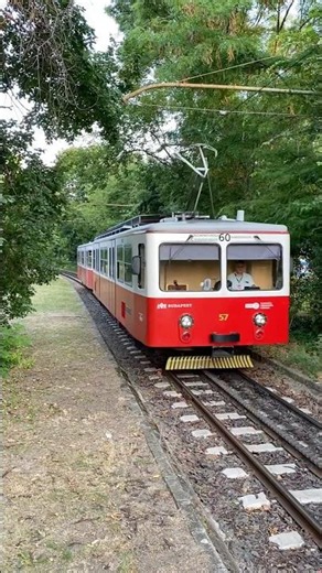 Budapest Cogwheel train arrives at Városmajor 🇭🇺