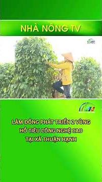 Lâm Đồng phát triển 2 vùng hồ tiêu công nghệ cao tại xã Thuận Hạnh
