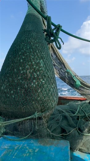 Trawler fishing Biggest Catch || lot of red crab,grouper fish caught….! #fishing #trawlerlife #seafishing #fishingvideos #fishinglife #fblifestyle #kadalrasa | kadalrasa -கடல்ராசா