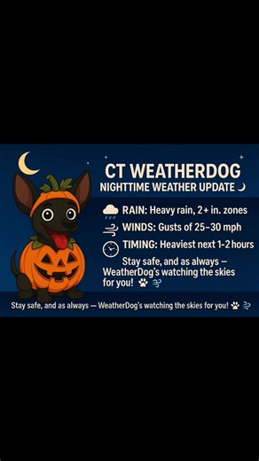 21 reactions | Late Night Update | Ct Weatherdog | Facebook