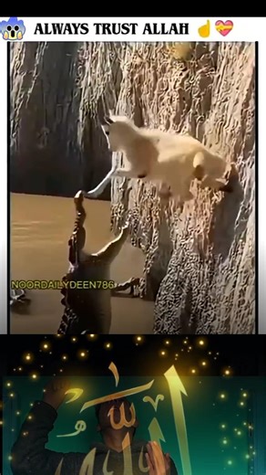 Always trust on Allah 🥺❤️‍🩹 #imranalam #samaralam #islamic 💚
