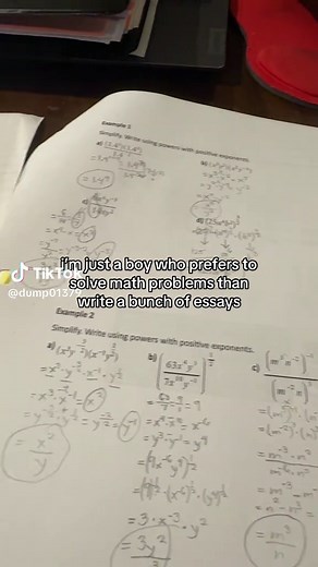 Why I Prefer Math Problems Over Writing Essays