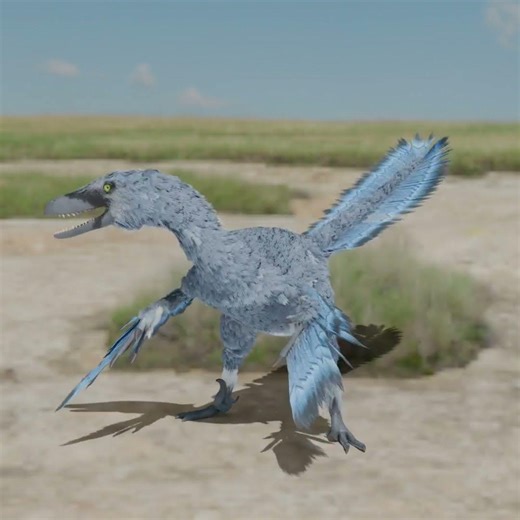 Velociraptor Test Animation!