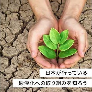砂漠化とは？原因や対策、行われている取り組みを知ろう