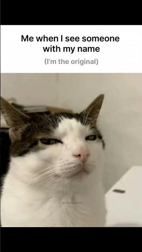 ... #cat #aesthetic #pfp