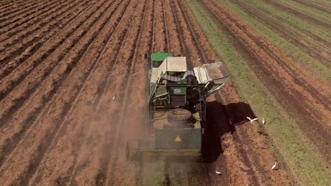 Inside the Peanut Butter Factory: See How It's Produced