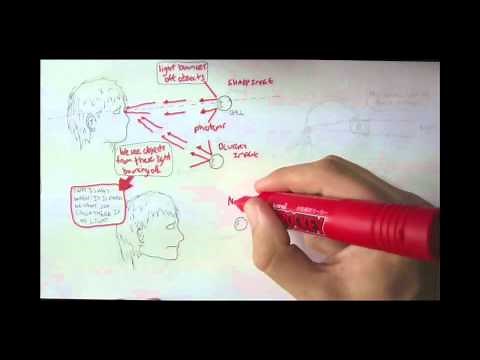 Vision Physiology Introduction