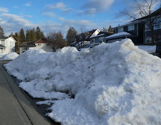 The dark side of snow: How it worsens the effects of environmental pollutants - The Weather Network