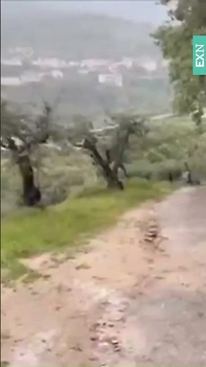 Seis días desde la desaparición de José Antonio
