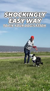 2.3K views · 40 reactions | Does your dog’s FETCH need a little work?...