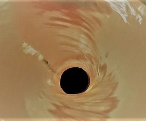 Black Hole Model