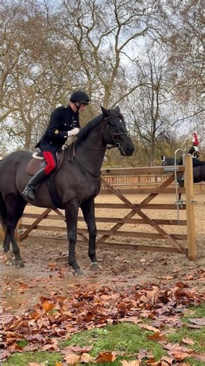 Knightsbridge barracks #highlights #horse #travel