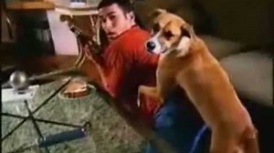 Bud Light Commercial - Bad Dog