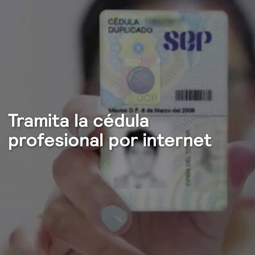 ¿Sabes cómo tramitar tu cédula profesional digital?... Te lo explicamos. #PuntoNews con Danielle Dithurbide Vega | NMás
