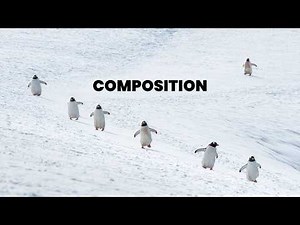 Stop Taking Boring Photos! 10 Composition Hacks for Landscape Photography