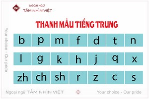 Thanh mẫu tiếng Trung là gì? Phân loại & cách đọc - Ngoại ngữ Tầm Nhìn Việt | Trung tâm dạy tiếng Trung uy tín