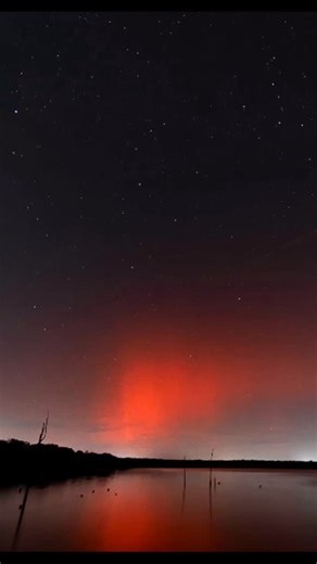 Cora A. Harris 🔬 on Instagram: "The aurora by night ✨ • Red glowing aurora colors filled the sky over Pickthorn Lake Jacksonville, Arkansas on November 11, 2025. The aurora this far south was due to major solar activity. • Credit: John Reed via Astrobin. • • • • • • • • • • FOLLOW: @cora.a.harris"