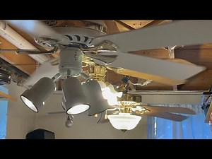 Basement Ceiling Fans Running On All Speeds