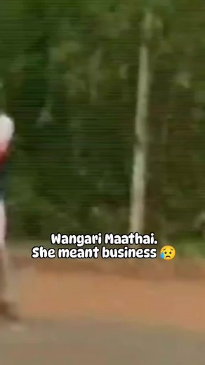 Wangari Maathai's Legacy: The Fight for Our Forests