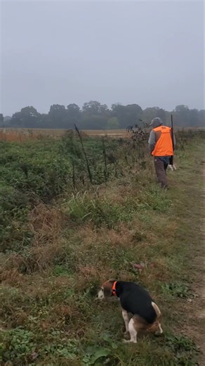 We're back at it again, rabbit season has arrived. #guidedrabbithunts | Catron's Kennel