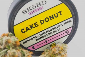 The Cake Donut Strain Review Featuring SKöRD Marijuana
