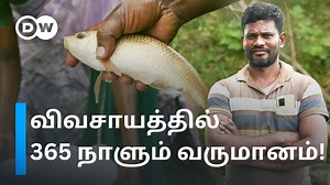 "மீன் வளரும் நீரில், நெல் முளைக்குது" - ஜீரோ பட்ஜெட் ஃபார்மிங் மூலம் 12 ஏக்கர் விவசாய நிலத்தில் 365 நாளும் வருமானம் பார்க்கும் புதுக்கோட்டை விவசாயி! | DW தமிழ்