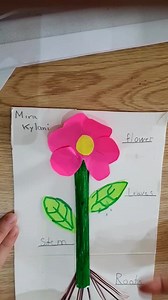 11 reactions | Grade one Subject: Science Topic: Our little scientists’ creative models of the the plant parts. | Active Minds School | Facebook