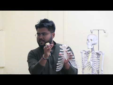 Lecture on Sternum Anatomy: Parts, Muscle Attachments & Clinical Importance | MBBS | TSMC