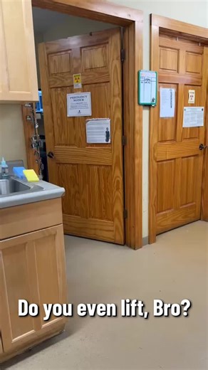 Understanding Fat Cat Behavior in Veterinary Settings