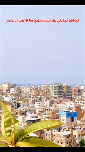 العاشق الحقيقي لطرابلس سيضع هنا ❤️ دون ان يشعر #os_os #طرابلس_لبنان #tripolilebanon #طرابلس #tripoli | طرابلس كما لم ترها من قبل