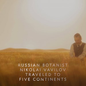 Nikolai Vavilov dreamed of ending world hunger. Today, we thank him. 🙏 Experience his journey on COSMOS anytime: fox.tv/cosmosfb | Cosmos