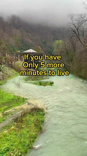 Reflect on and share your response to this question with your loved ones. #lifetips #motivation #wisewords #mindsetshift #lifelesson | MindShift