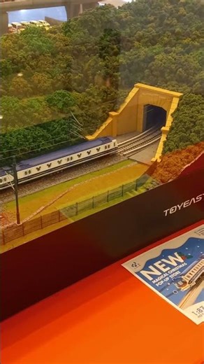 尖沙咀海港城 Hong Kong Disneyland Resort Line HO scale Model Display