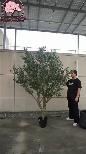How to Use Customizable Large Artificial Olive Trees with Pot 🌿 Restaurants, Hotels & Playgrounds