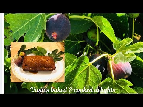 FIG CAKE