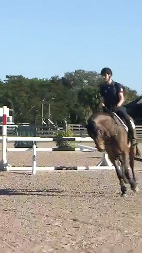 McLain Masterclass: Balancing Contact and Connection with Your Horse