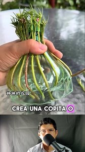 108M views · 1.2M reactions | #naturaleza #tips #Datoscuriosos #Agricultura | Plantpro - Planta con propósito | Facebook