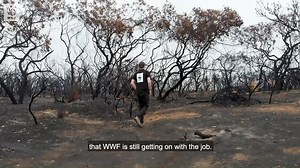 61K views · 1.4K reactions | We hope you, your family and friends are...