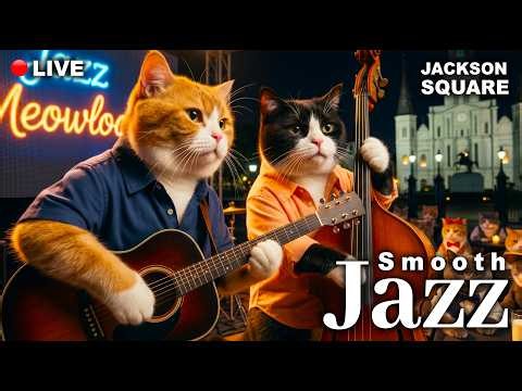 🔴 Live from Jackson Square 🎷 Smooth Jazz in the Heart of New Orleans | Jazz Meowlody