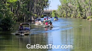 505K views · 1.8K reactions | Great fun on our fabulous waterways with CatBoat Adventure Tours | Mount Dora | Facebook