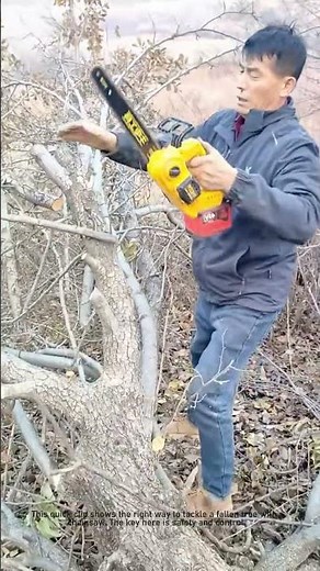 How to Safely Cut a Fallen Tree with a Chainsaw