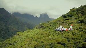 Documentaire | Des ailes et des îles – Un dauphin à Tahiti