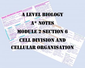 A Level Biology Revision Notes - Cell Division and Cellular Organisation - Back to School College Alevel Biology Revision Guide a Level - Etsy