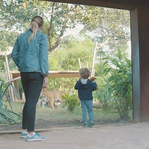 Taronga is committed to protecting and sustaining wildlife in their natural habitats. When you buy a ticket you are supporting Taronga's fight for the wild. | Taronga Zoo Sydney