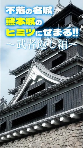 【熊本城の仕掛け紹介】①武者返し編 #熊本城 #shorts #youtubeshorts #トリビア #熊本 #雑学 #旅行 #観光