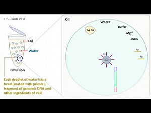 Emulsion PCR
