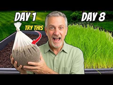 The Fastest Way to Grow Grass Seed — Pregermination Secrets REVEALED